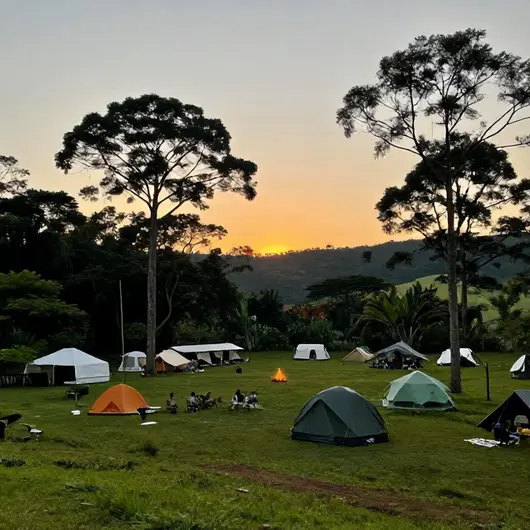 Camping Paineiras: Aventura e Natureza em Harmonia