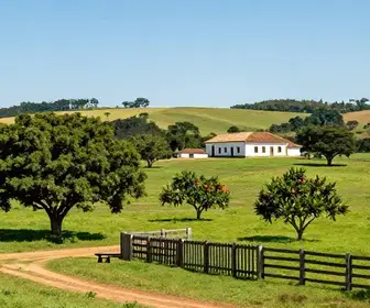 Descubra as Fazendas Históricas de Itu: Riqueza Cultural e Turismo Rural Descubra as Fazendas Históricas de Itu: Riqueza Cultural e Turismo Rural