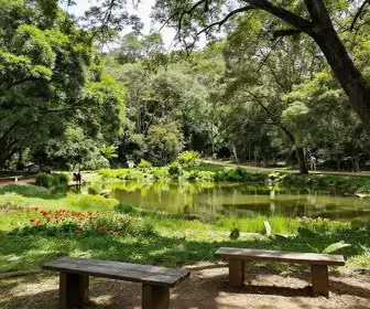 Descubra o Bosque Alceu Geribello: Natureza e Lazer em Itu - SP