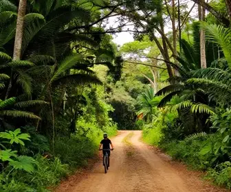 Descubra o Caminho do Açúcar de Bicicleta em Itu: Aventura e Natureza Descubra o Caminho do Açúcar de Bicicleta em Itu: Aventura e Natureza