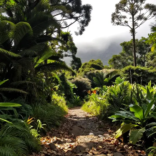 Explore a Trilha Estrada parque itu Cabreúva