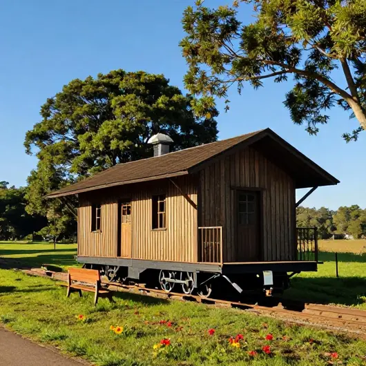 Passeio de Trem com Almoço